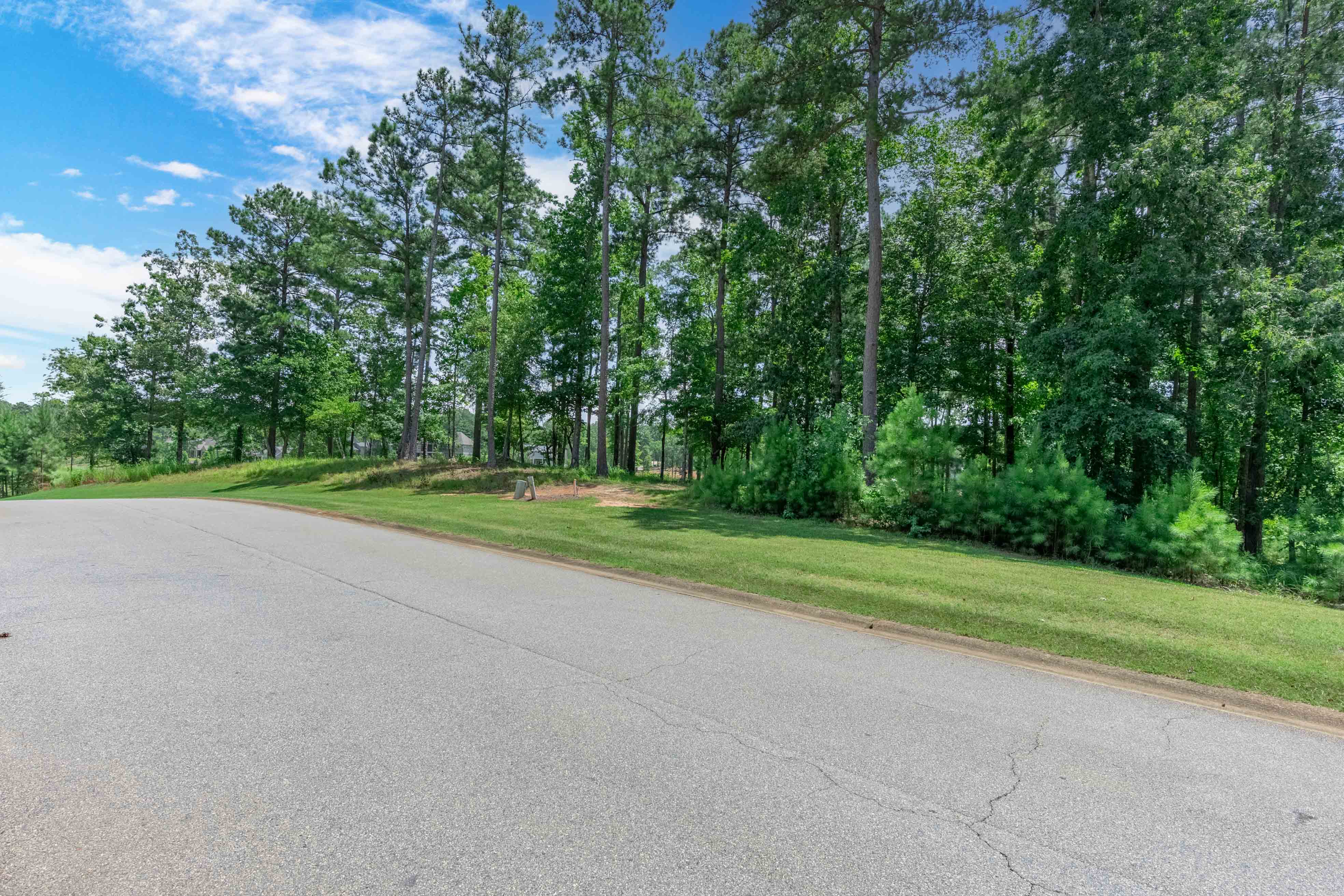 2101 Sandy Ford image 3